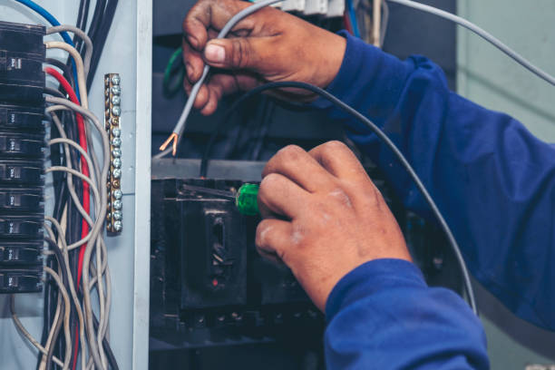Best Affordable Electrician  in Elfers, FL