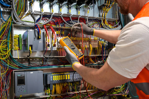 Best Electric Panel Repair  in Elfers, FL